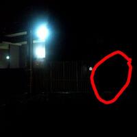 post-image