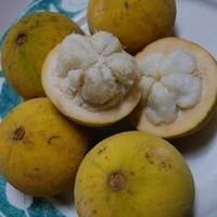 buah2-ini-mungkin-telah-punah-padahal-semasa-kecil-buah2-ini-selalu-jadi-teman