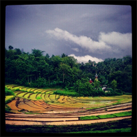 nongkrong-bareng-kamera-henpon