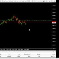 yg-hobi-pair-eur--usd-signal-op-tiap-op