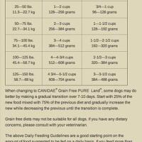 new-all-about-dog-food