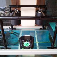 ayo-gan-silaken-posting-aquariumnya-di-sini