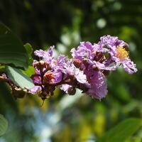 kavling-fujifilm---part-3