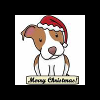 the-american-pitbull-lover039s---part-4