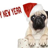 selamat-natal-2013-bagi-kaskuser-yang-merayakannya