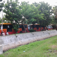post-image
