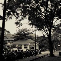 official-lounge-nokia-lumia-520