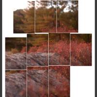 post-image