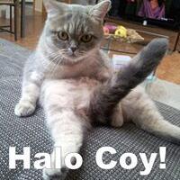 cara-mengeluarkan-sperma-tanpa-harus-ngocok---cl-laki-inside