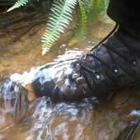 all-about-sepatu-trekking