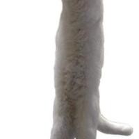 tips-memasak-mie-instant-biar-lebih-enak-dan-beda-anak-kost-wajib-masuk