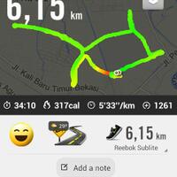 fr--joging-sore-di-penghujung-thn-2013-bersama-bekasi-runners-summareconcity