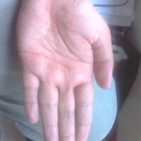 share-tentang-pengetahuan-keilmuan-garis-tangan---palmistry
