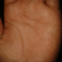 share-tentang-pengetahuan-keilmuan-garis-tangan---palmistry