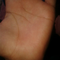 share-tentang-pengetahuan-keilmuan-garis-tangan---palmistry