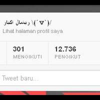 bongkar-cara-tambah-followers-twitter-real-human-no-bot