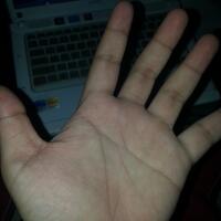 share-tentang-pengetahuan-keilmuan-garis-tangan---palmistry