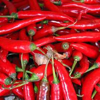 susahnya-jadi-cewe-di-kaskus