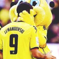 bvb-dortmund-09--echte-liebe----season-2013-2014