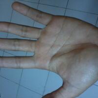 share-tentang-pengetahuan-keilmuan-garis-tangan---palmistry