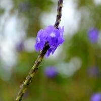 share-hasil-fotografi-always-update