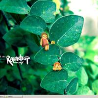 share-desktop-teman-teman-amh-disini