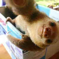 foto---foto-selfie-hewan-yang-konyol-gan