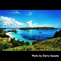 fakta-unik-komodo-dragon