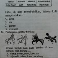 problem-solving---tempat-bertanya-pr-kaskuser-sd-smp-sma---part-3