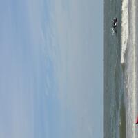 diskusi-bisnis-stock---microstock-photography