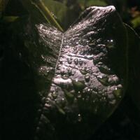 official-lounge-super-simply-smartphone-htc-one