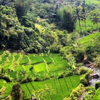 menikmati-keindahan-alam-indonesia-dari-atas-kereta-api