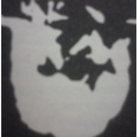 bedah-tuntas-mitos-otak-kanan---otak-kiri