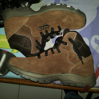 areamar-ltlttestimonial--reputationgtgt