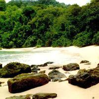 teluk-hijau-eksotisme-perawan-ujung-timur-pulau-jawa