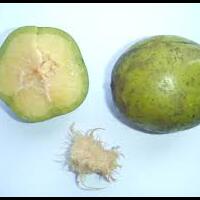 buah-apa-yang-agan-pilih-kalo-makan-rujak