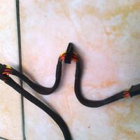 the-all-new-show-your-computer