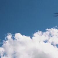 fovie-s-quiz-tebak-judul-film-dari-adegannya---part-10