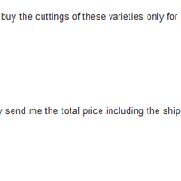 kampung-anggur----part-1