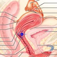 serba---serbi-jav---2nd-season-part-1