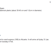 kampung-anggur----part-1