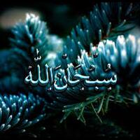 7-lokasi-selam-yang-indah-nya-bagaikan-di-surga-gan-only-in-indonesia