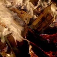 fovie-s-quiz-tebak-judul-film-dari-adegannya---part-10