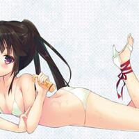 log-horizonno-ln-spoiler