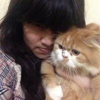 post-kucing-agan2-yu-kita-share--pecinta-kucing