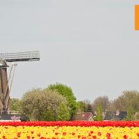 tata-kelola-air-yang-ramah-lingkungan-belanda-jagonya-jakarta-musti-lihat