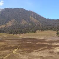 bunga-lavender-tidak-ada-di-gn-semeru