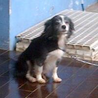 post-image