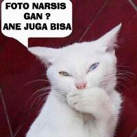 foto-pose-pose-kucing-bergaya-ala-wanita-seksi
