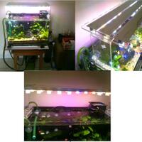 must-see-aquascaping-desain-dunia-aquarium-yang-menakjubkan